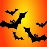 bats